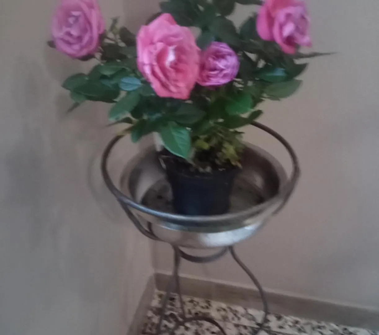 Bardi Al Riolo Betulla Appt Apartment